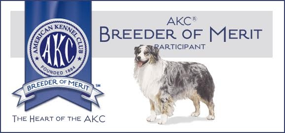 AKC Breeder of Merit
